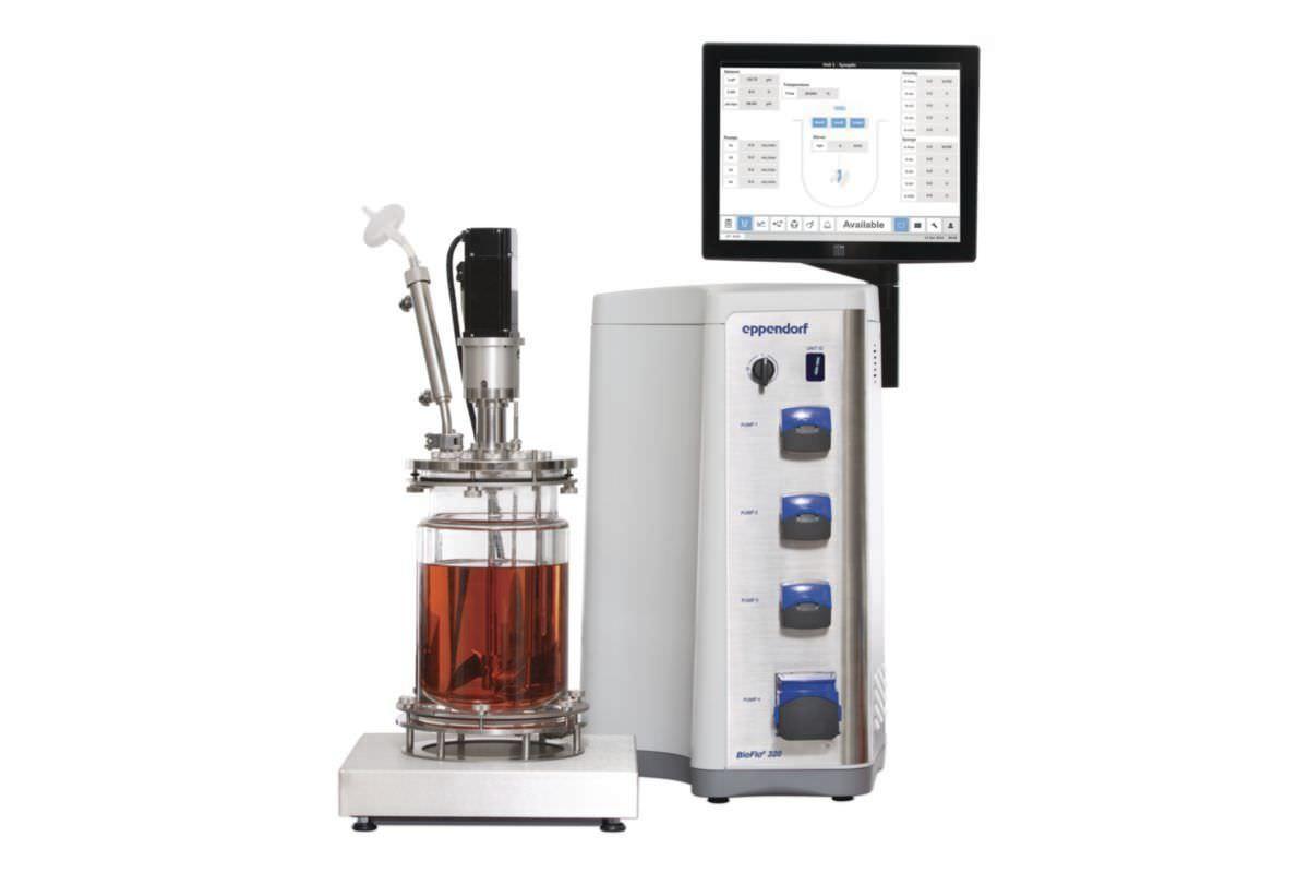 Disposable bioreactor