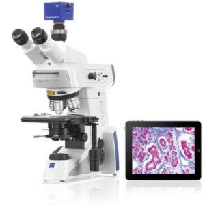 Световой микроскоп ZEISS Axio Lab.A1 для биологии