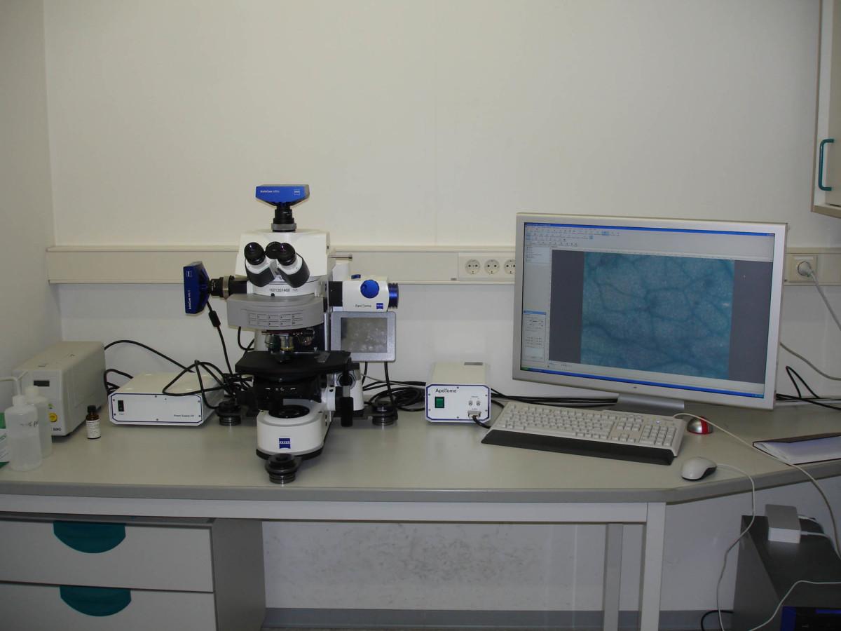 axioimager