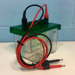 Камера для вертикального электрофореза Bio-Rad Mini-PROTEAN Tetra