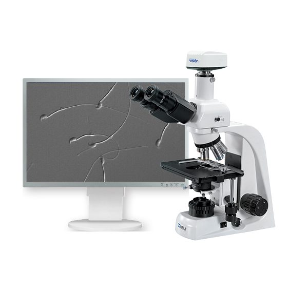 Биологические микроскопы для выделения сперматозоидов MT5310L