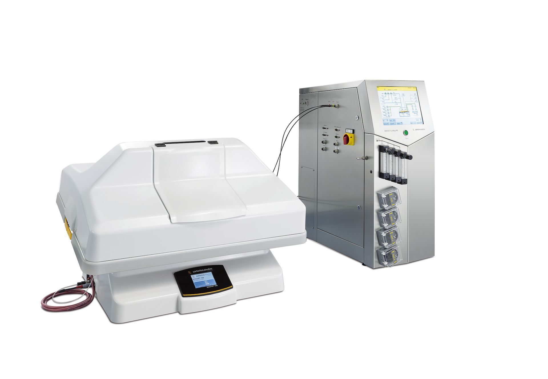 biostat-2