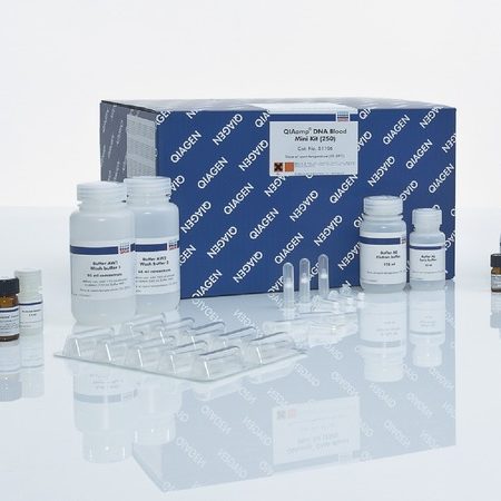 Набор для выделения ДНК из крови и биологических жидкостей QIAamp DNA Blood Mini Kit Qiagen