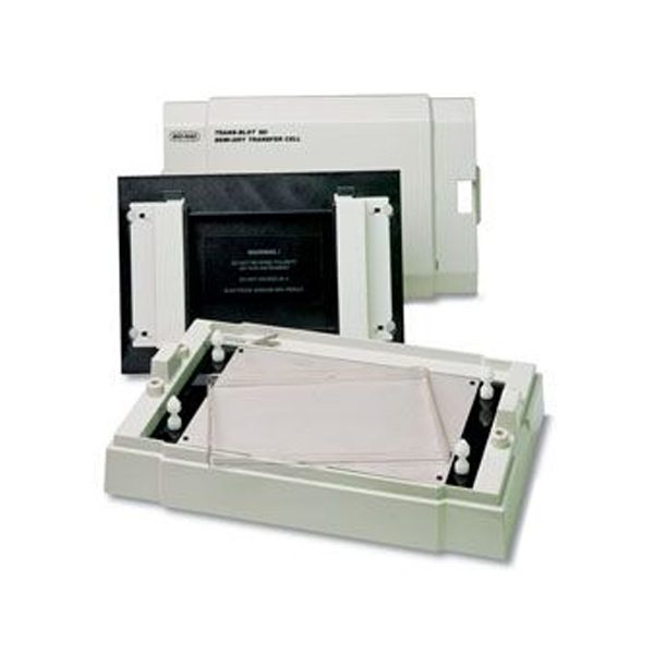 Система полусухого блоттинга, Trans-Blot SD Semy-Dry Transfer Cell, площадь, 240х160 мм