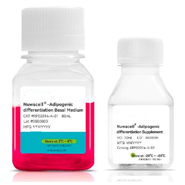 Набор для адипогенной дифференцировки МСК hMSC-Adipogenic Differentiation Kit