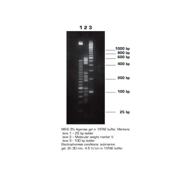 Агароза, низкий EEO, MS-6, Molecular Screening, повышенная четкость разделения фрагментов 150-750п.н.
