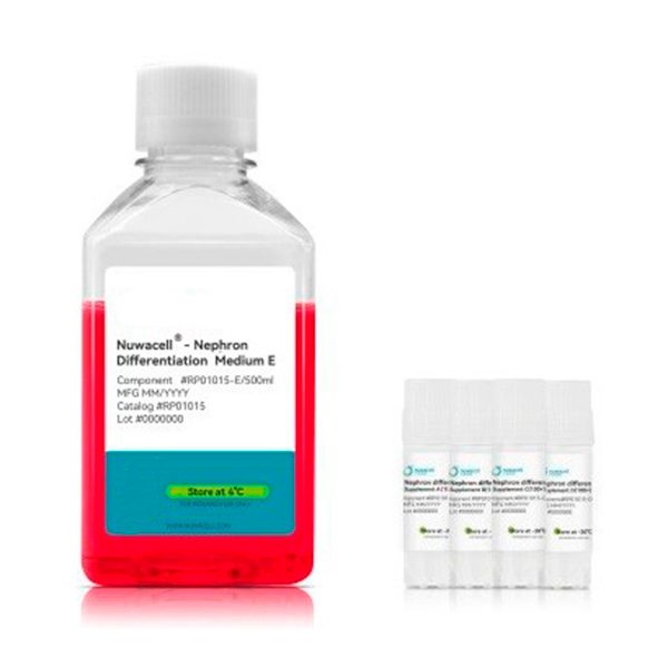 Набор для дифференцировки hPSC в нефроны hPSC-Nephron Differentiation Kit