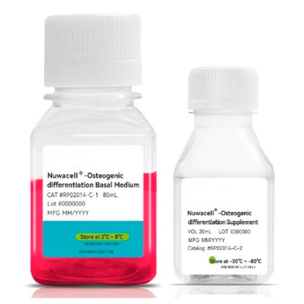 Набор для остеогенной дифференцировки МСК hMSC-Osteogenic Differentiation Kit