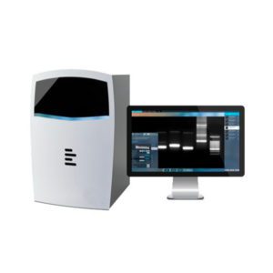 Гельдокументирующая система QUANTUM-CX5 Edge - Epi UV PadBox, 5 Мп, моторизованный зум, верхний УФ 254/365 нм, без Pad-трансиллюминатора, фильтр 590нм