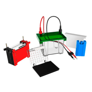 Система блоттинга Western Blot BK-TET01