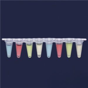 Полоска из 8 пробирок qPCR ISOLAB, 0,1 мл, отдельный плоский колпачок, прозрачные