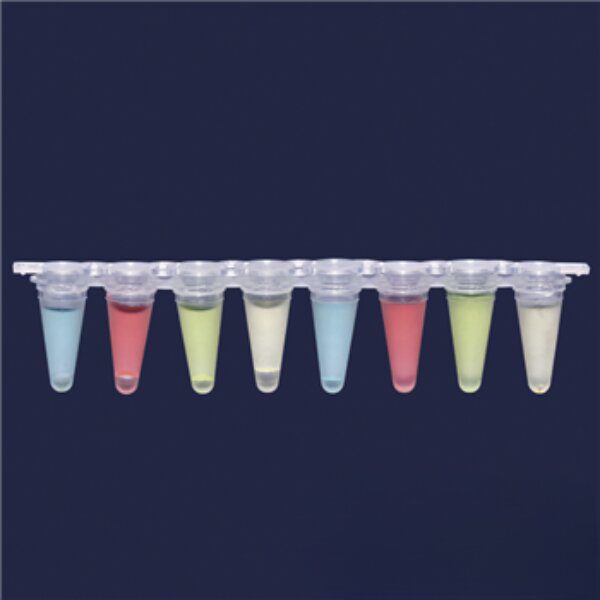 Полоска из 8 пробирок qPCR ISOLAB, 0,2 мл, отдельный плоский колпачок, прозрачные