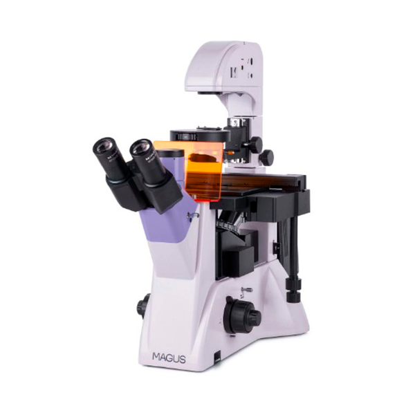 Микроскоп MAGUS LUM V500
