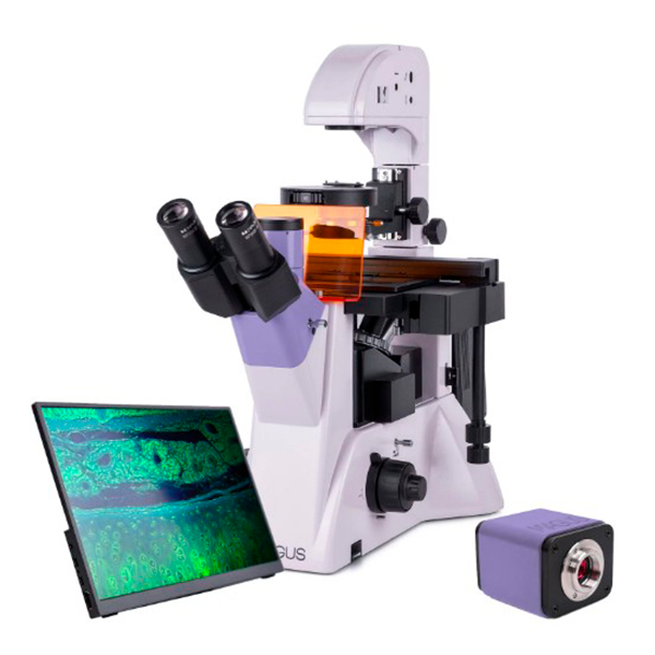 Микроскоп MAGUS LUM VD500 LCD