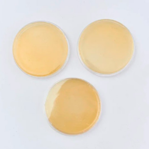 Чашки Петри 90 мм "Биоконтроль" Leuconostoc (среда Acetate Agar)