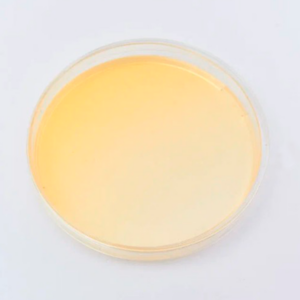 Чашки Петри 90 мм "Биоконтроль" Pseudomonas aeruginosa (ГРМ-среда N9)